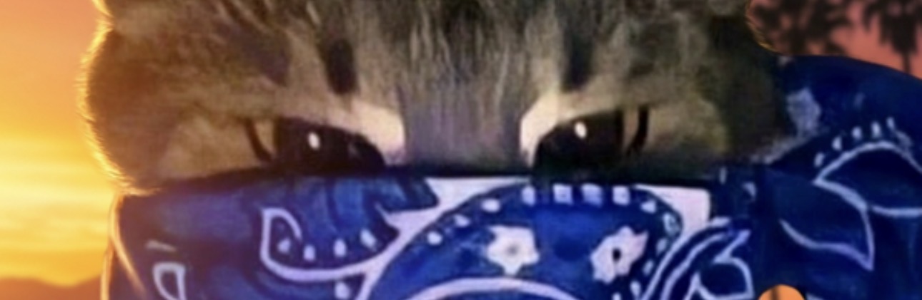 Close-up of CrimeCat's eyes above the blue bandana at sunset